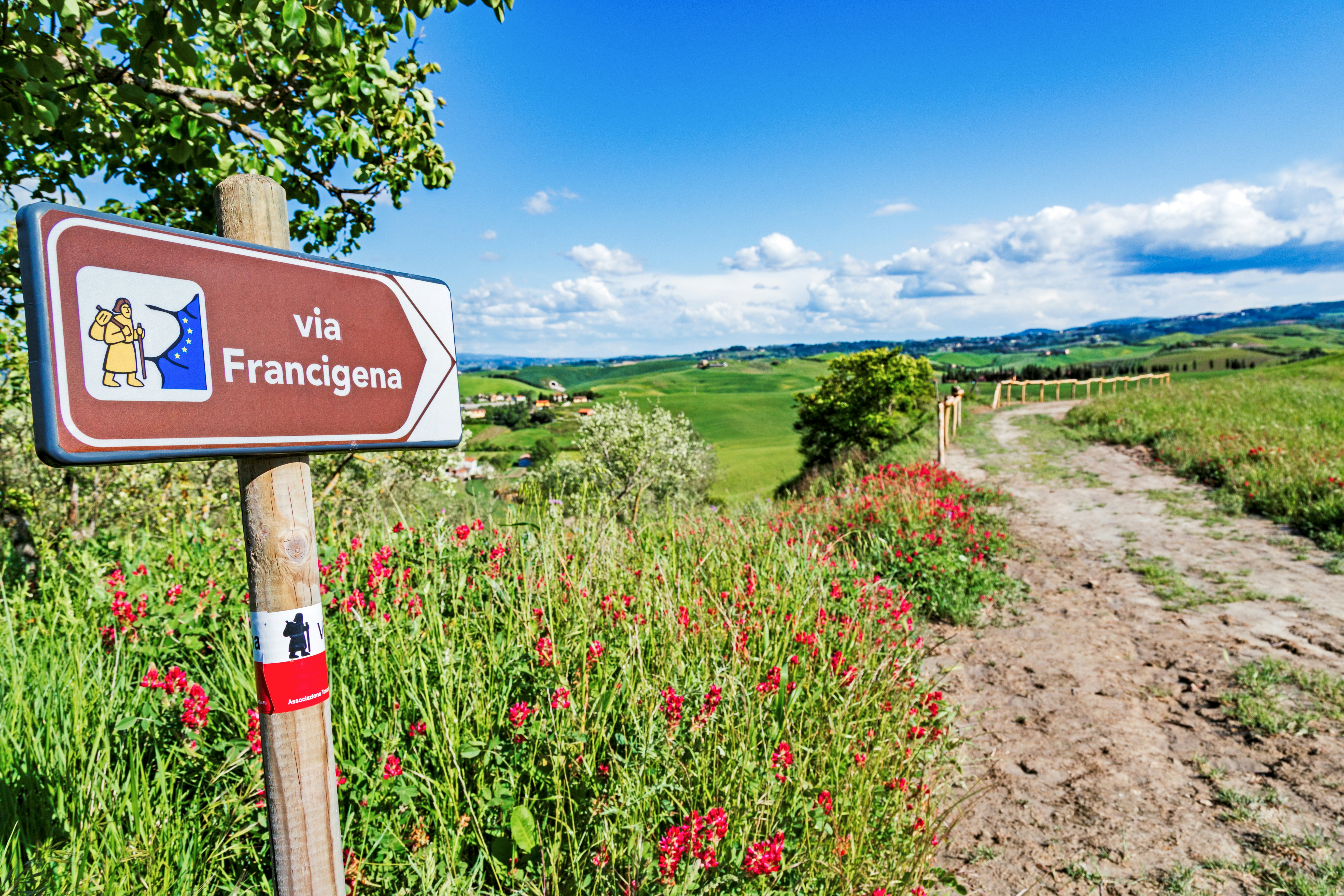 A pathway, through countryside with flowers in bloom, signposted as the "via Francigena"