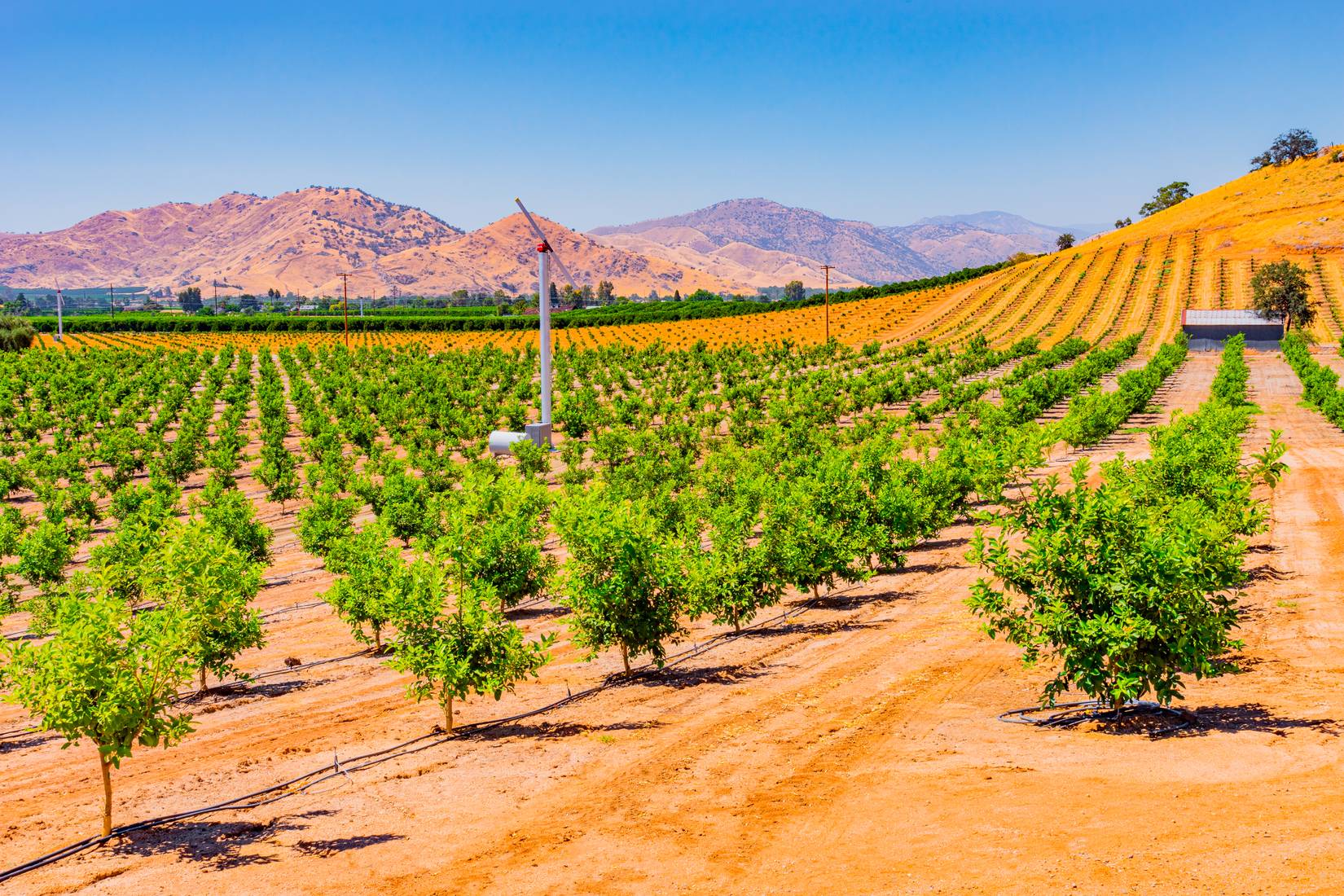 San Joaquin Valley, California