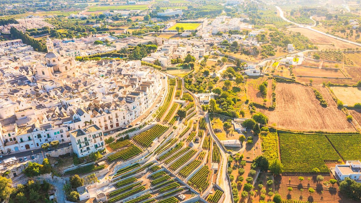 The 10 Best Hidden-Gem Wine Country Travel Destinations in 2025 The 10 Best Hidden-Gem Wine Country Travel Destinations in 2025