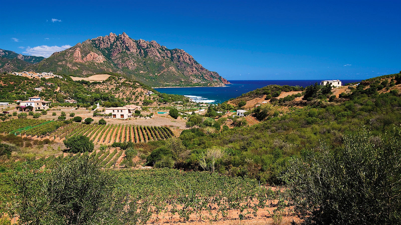  Vineyards and coastline in Sardinia, Italy