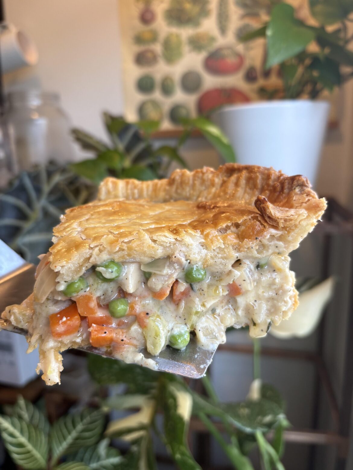 Chicken pot pie!