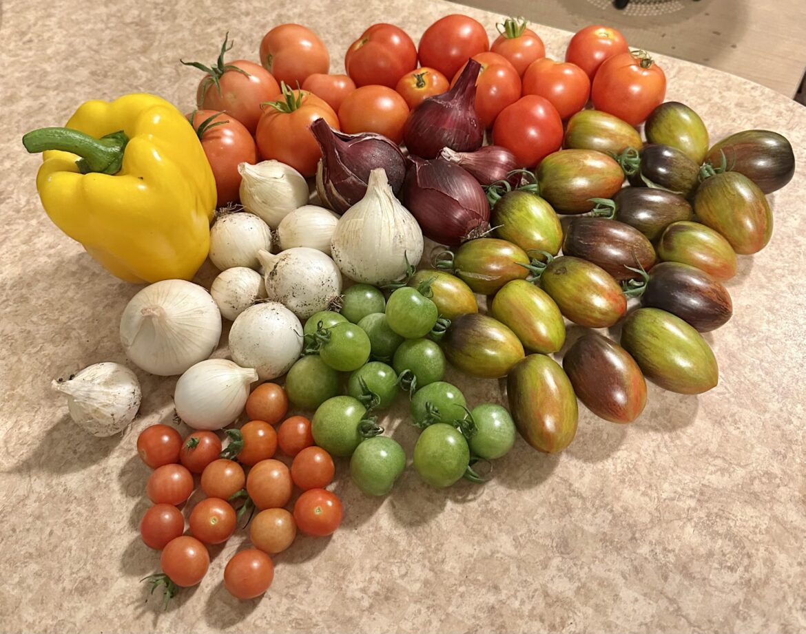 Great harvest!!