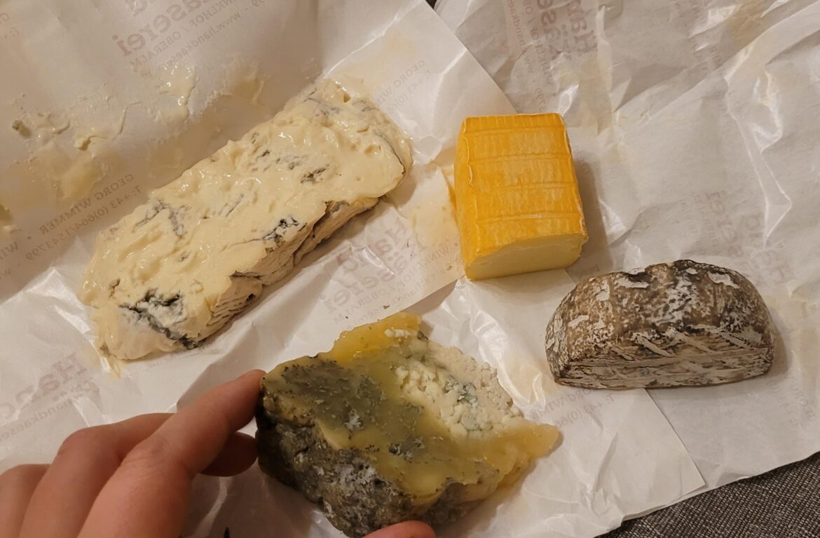 Four different kind of cheese from a local producer. The bottom one is a regional delicacy made from sour milk