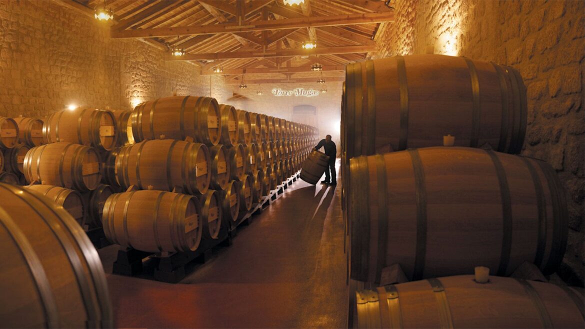 We Just Reviewed 9 Outstanding Rioja Wines from Spain Priced as Low as $21