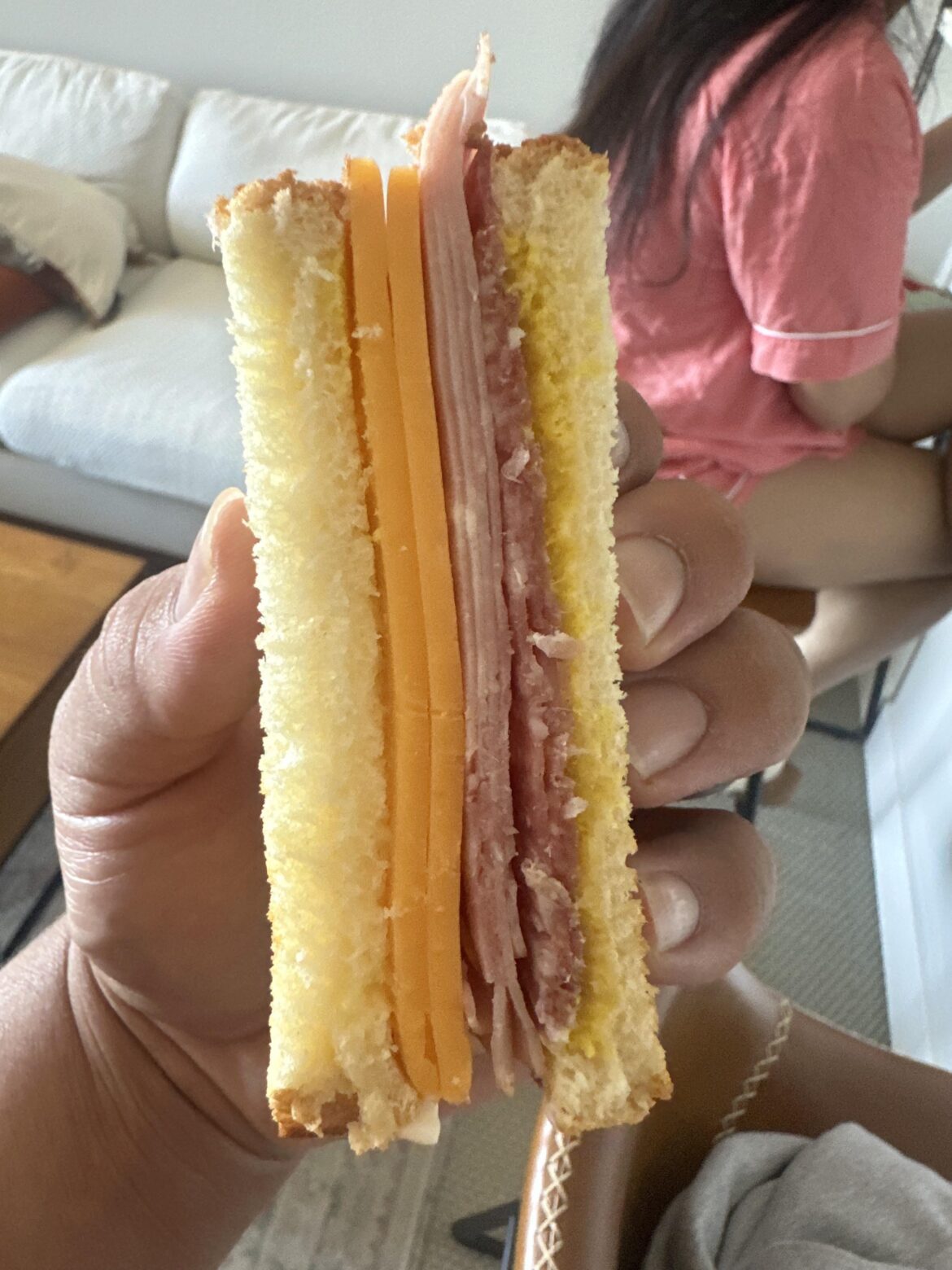 Salami, honey ham, and sharp cheddar sando
