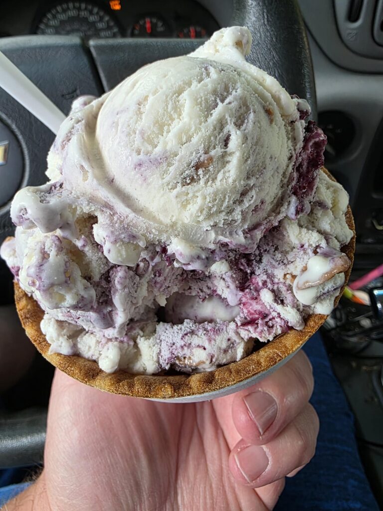 Accidentally ordered a pint of blueberry waffle cone at Mckay's Corner Store