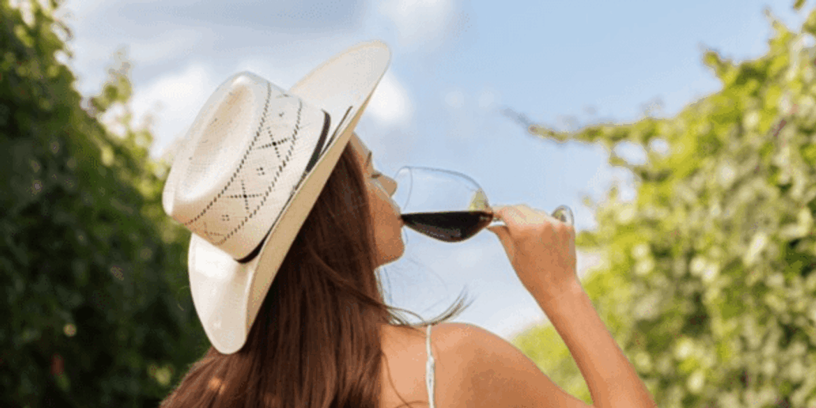 Master Texas wines at the first Hill Country Wine Camp