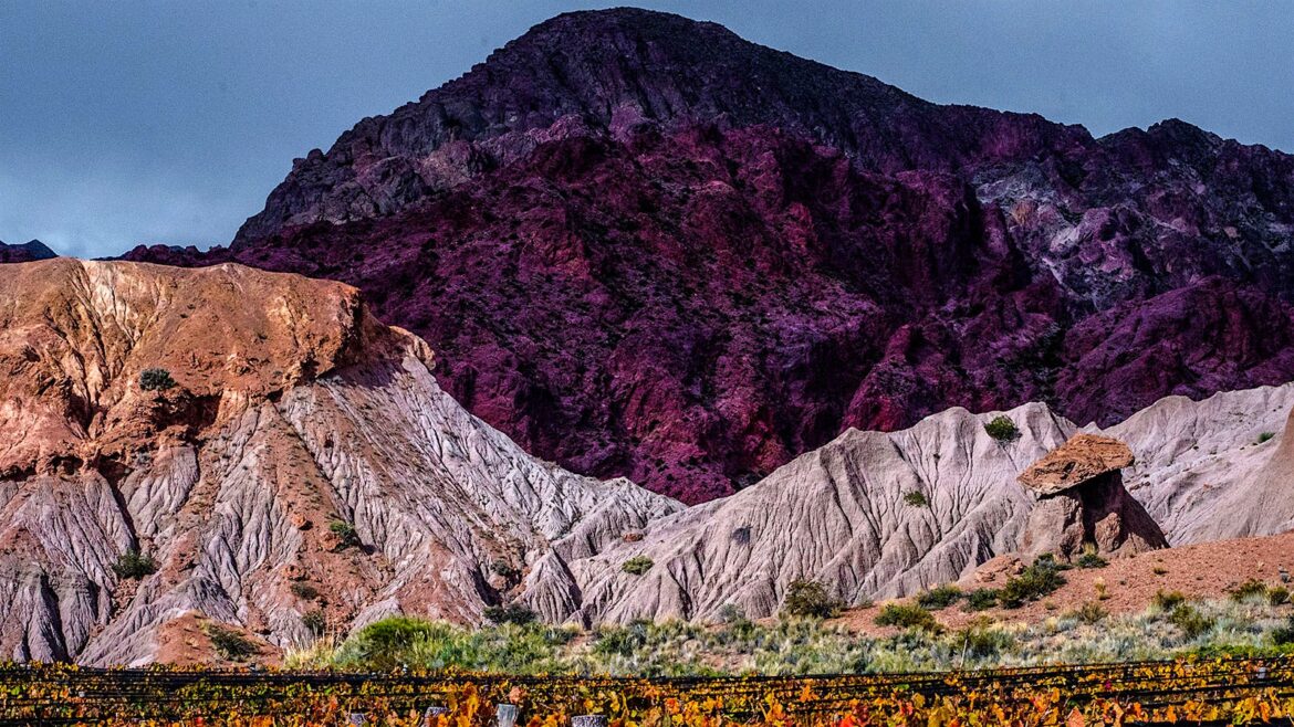 9 Exciting Argentina Wine Values Up to 93 Points 9 Exciting Argentina Wine Values Up to 93 Points