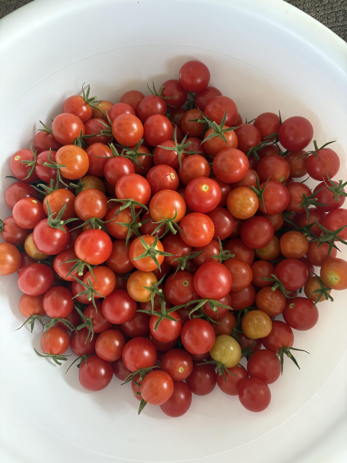 I haven’t picked in a few days