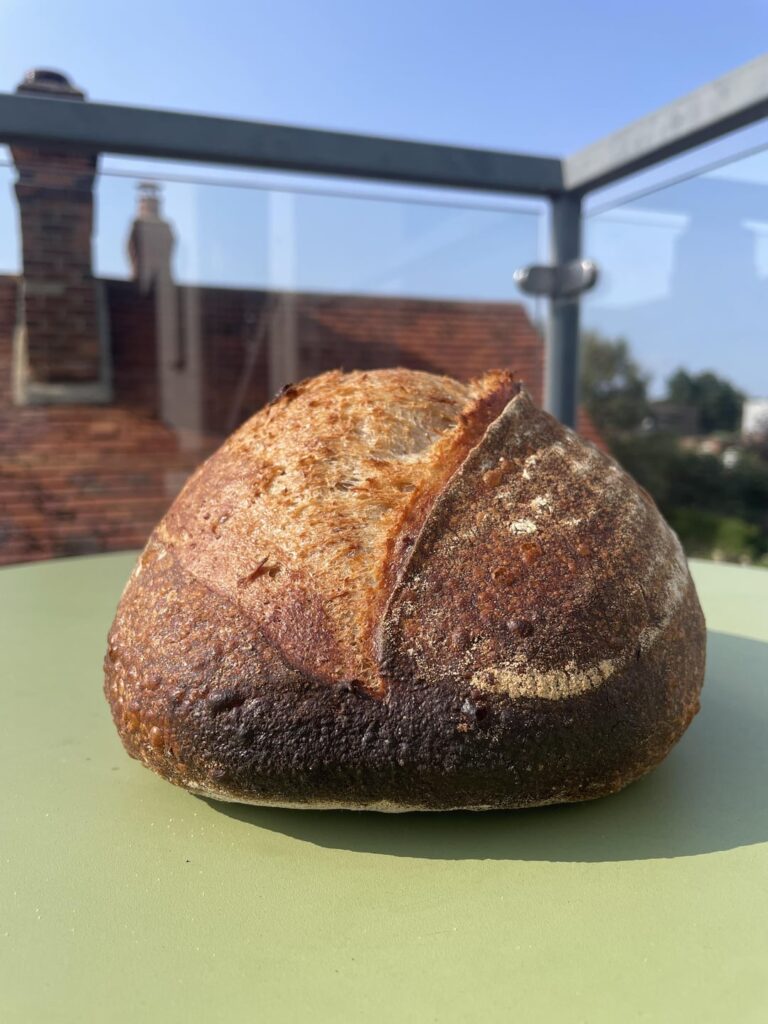 Finally some success on the baking stone Finally some success on the baking stone