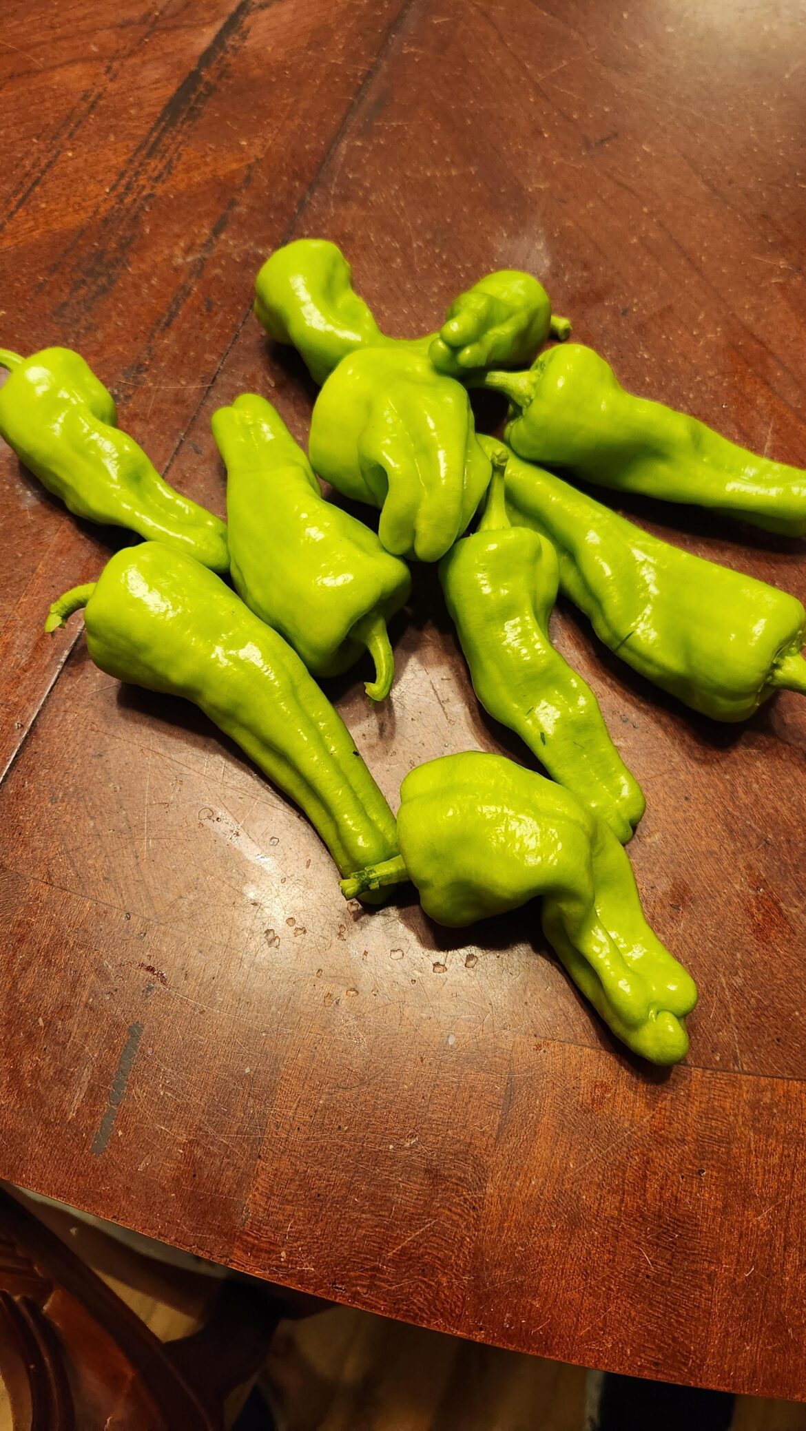 One of my habaneros turned out to be.. well this. Any ideas what it is?