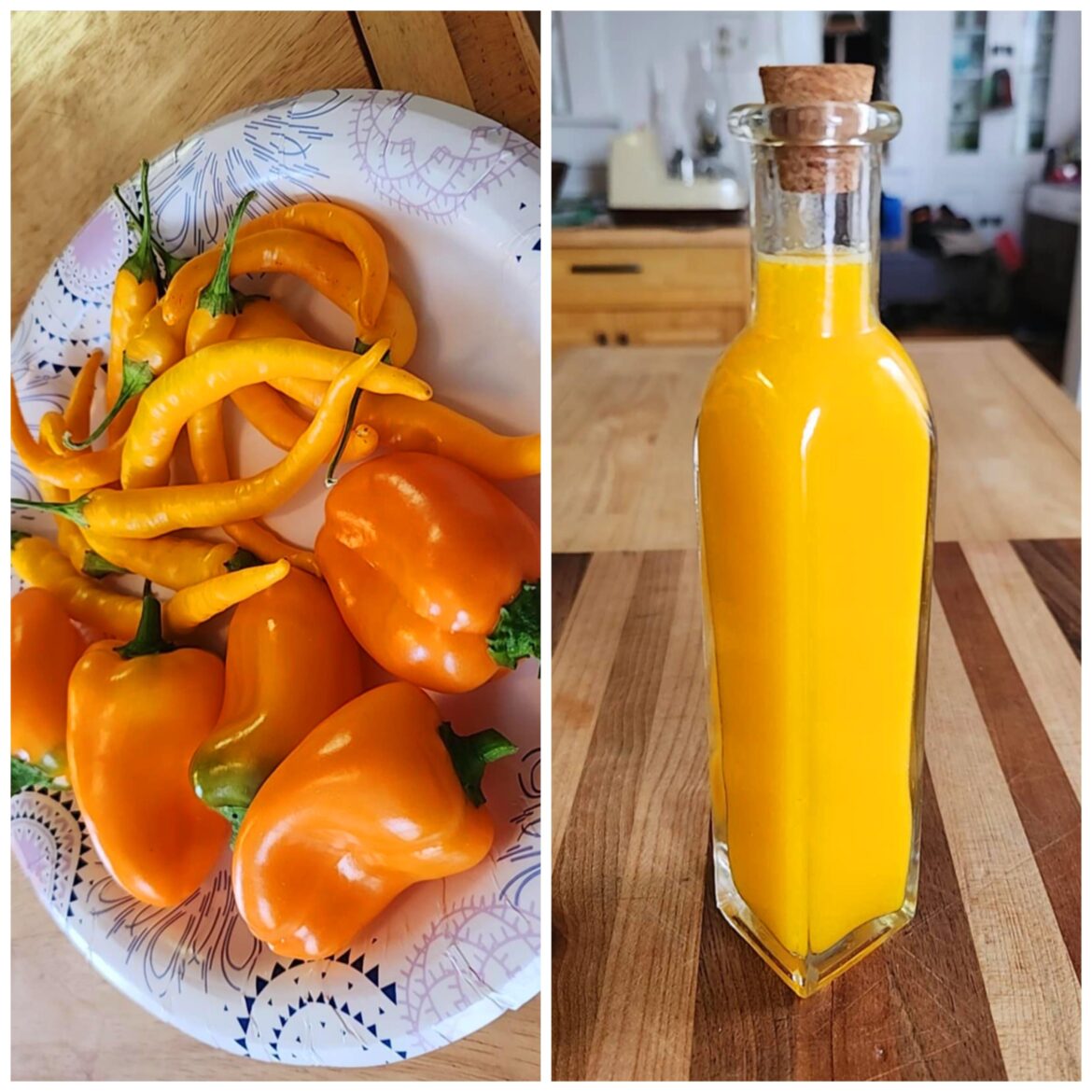 my first hot sauce, just started growing peppers...