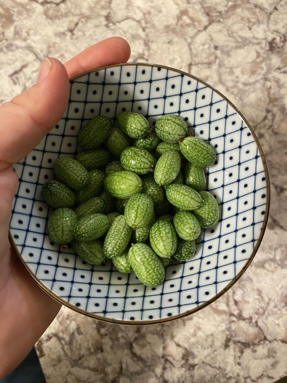 Cucumelons!