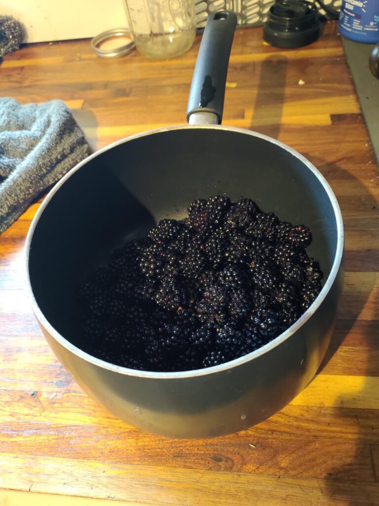 [Homemade] blackberry jam
