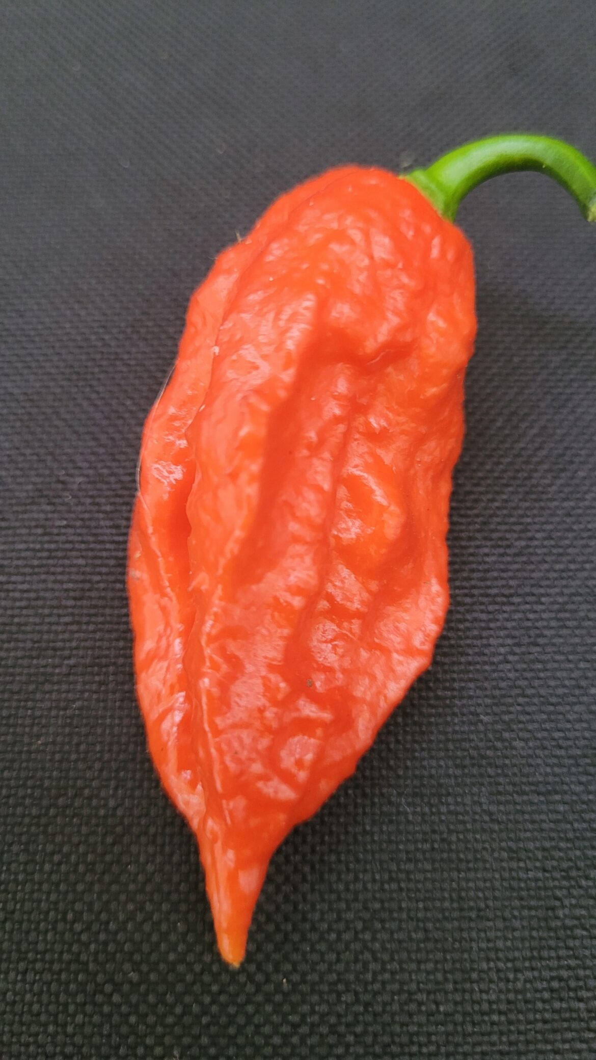 Working on a wing sauce