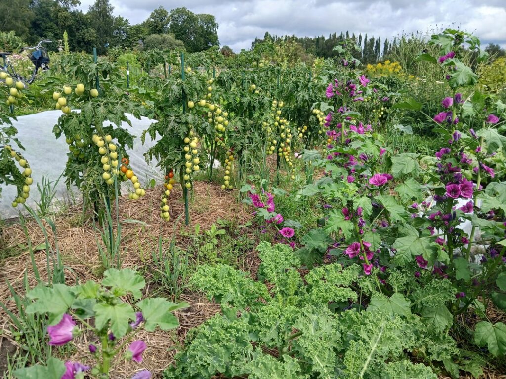 Difficult summer but enjoying myself