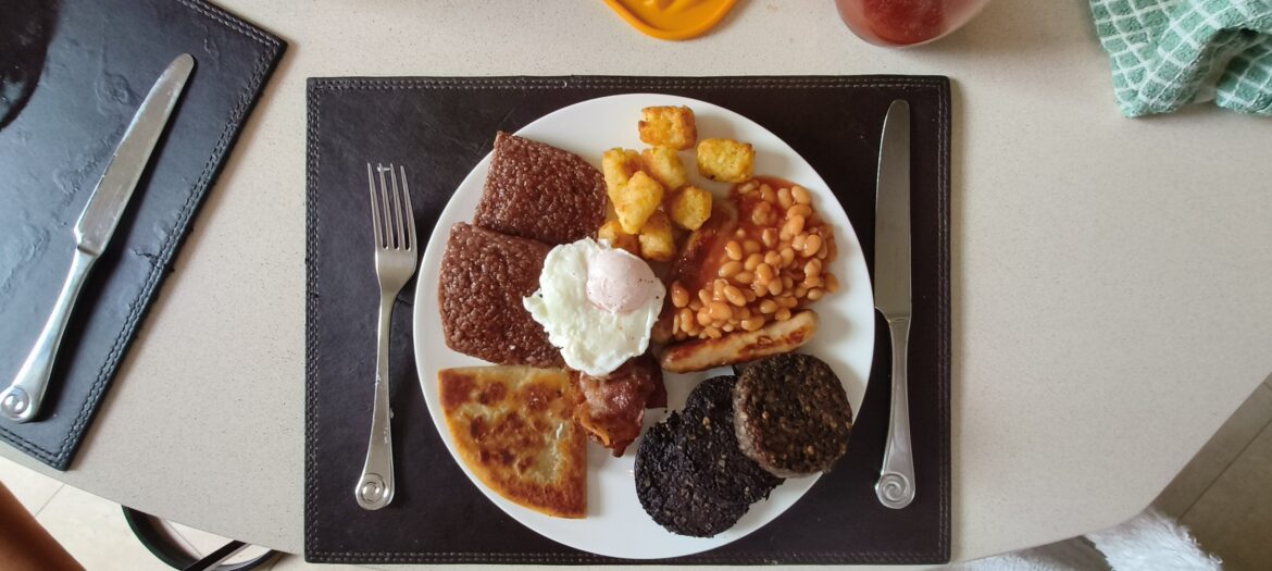 Didn't have any mushrooms or tomatoes, so added hash browns bites and a Bloody Mary.