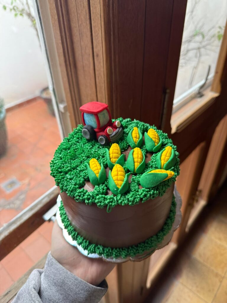 A country-themed cake with a tractor included 🚜🌾
