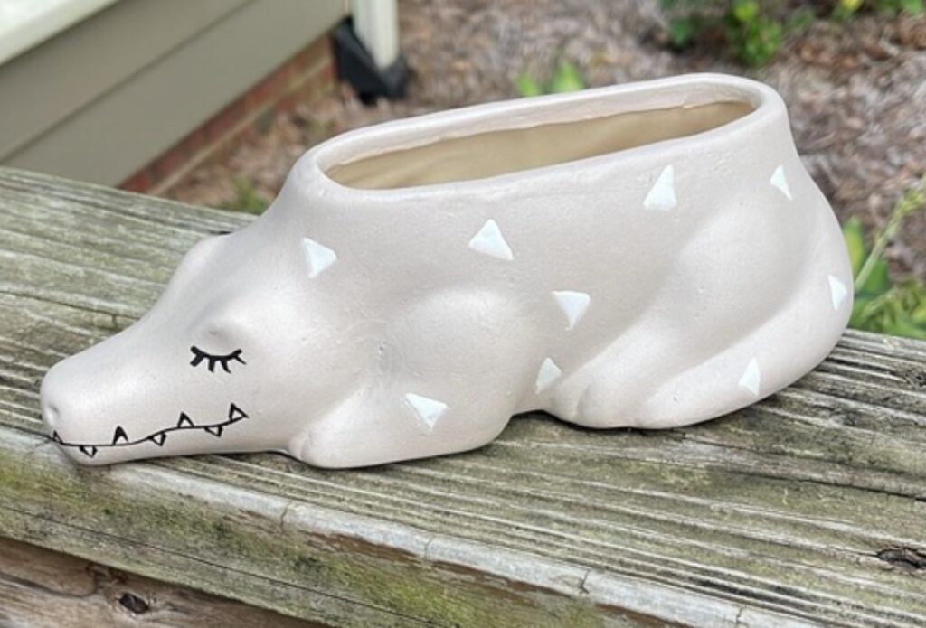 What should I make first in my new croc pot?