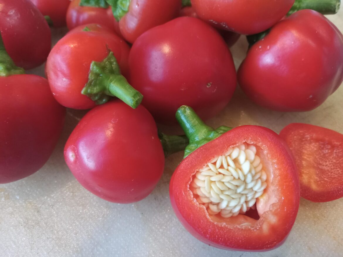 Cherry peppers are nicely packed full of seeds!