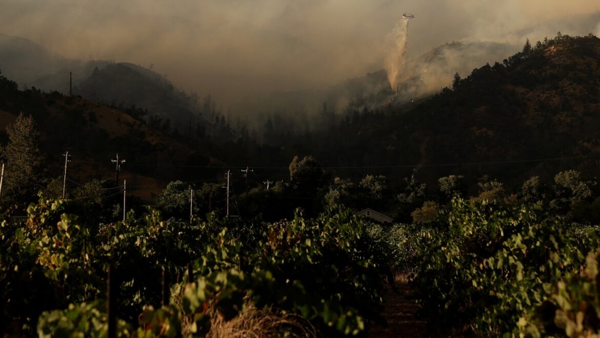 Wildfire in California wine country forces thousands to evacuate : NPR