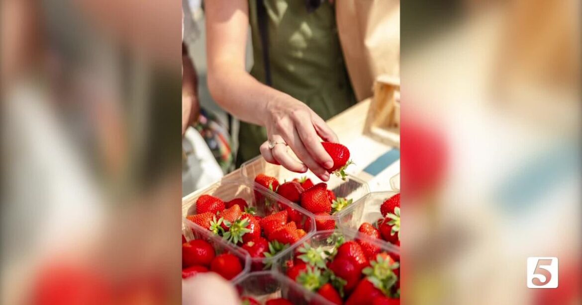 Unforgettable Culinary Retreats with Rêverie