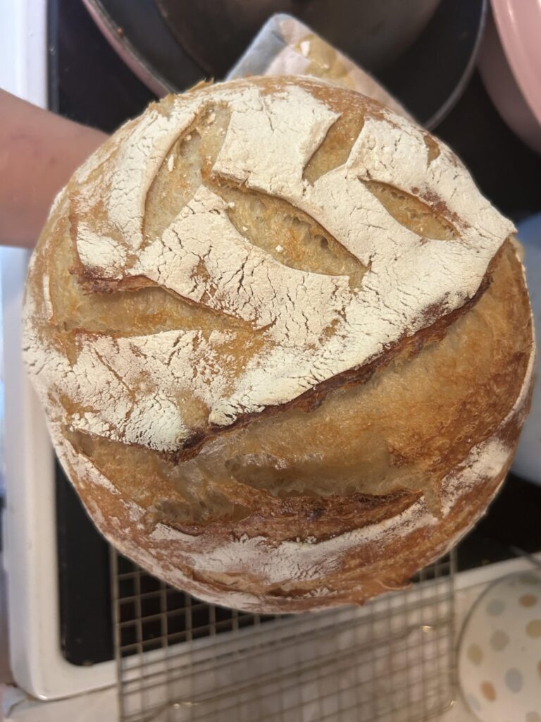 Reduced hydration and finally got an ear!