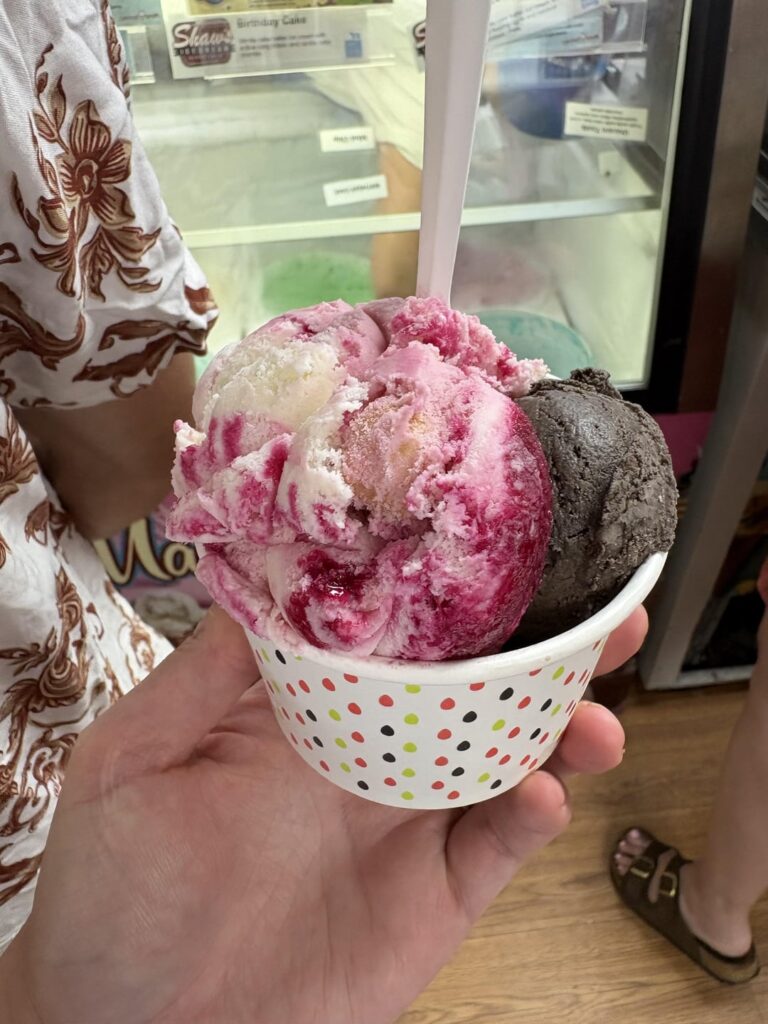 Hit up a popular mom and pop ice cream shop in a beach town and let’s say this… I’m coming back! Today we ate cherry cheesecake, chocolate brownie explosion and cookie dough monster ice cream!