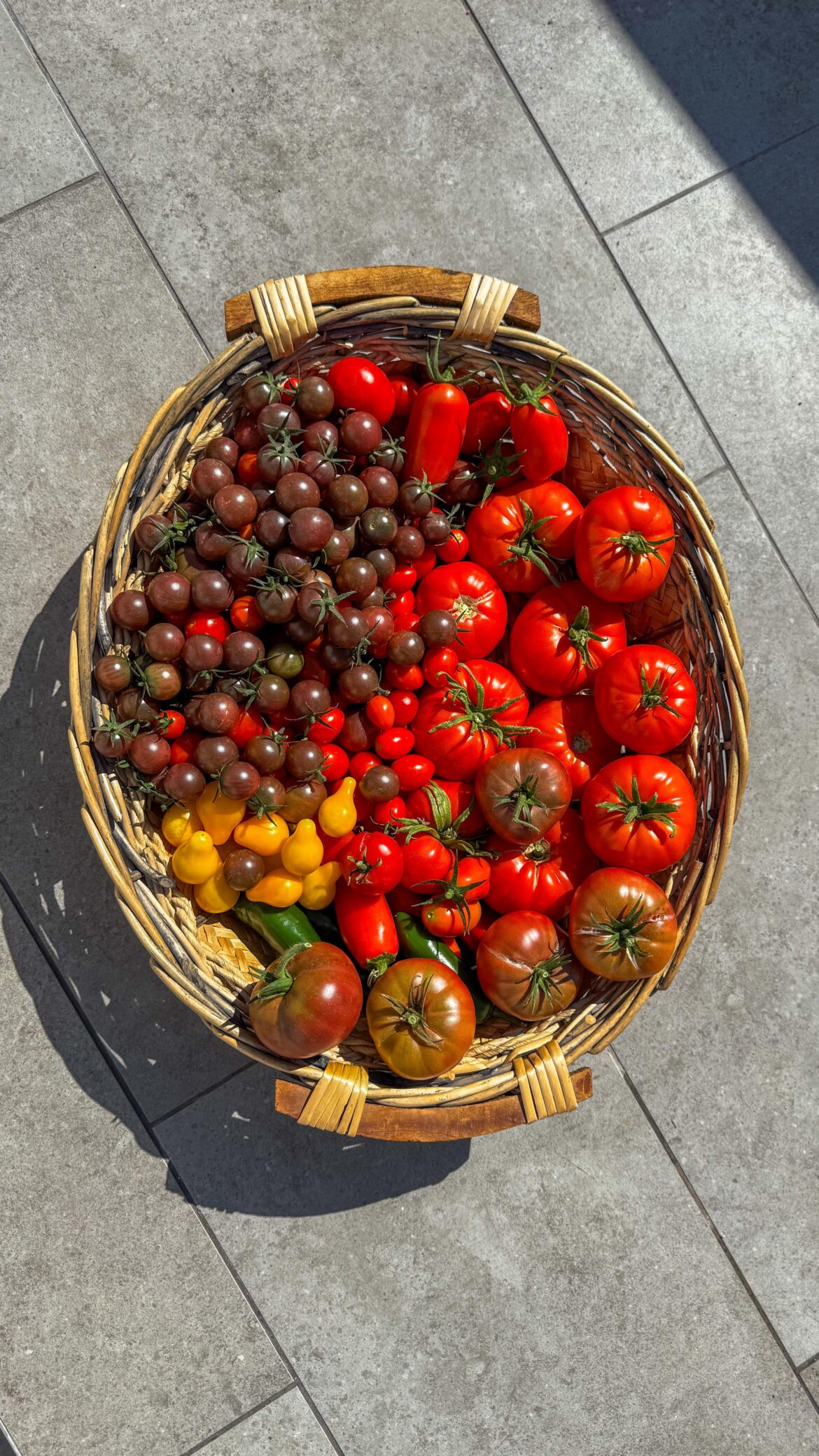 from the garden 🍅