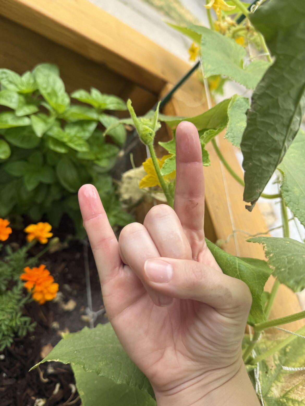 F*ck yeah, gardening is metal af 🤘🏻