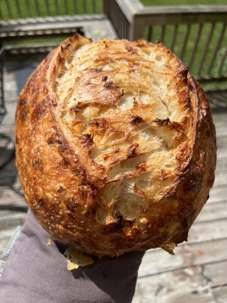 Check out this grated cheddar sourdough i made