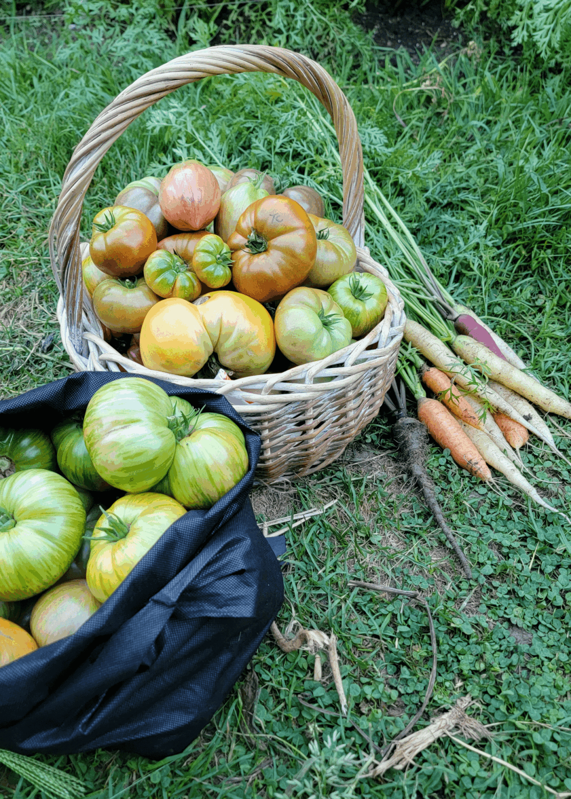 The hard work is finally paying off