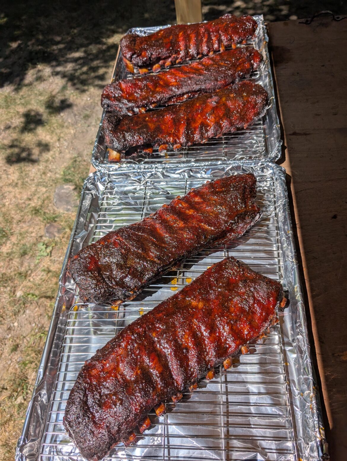 Fun in the sun rib's