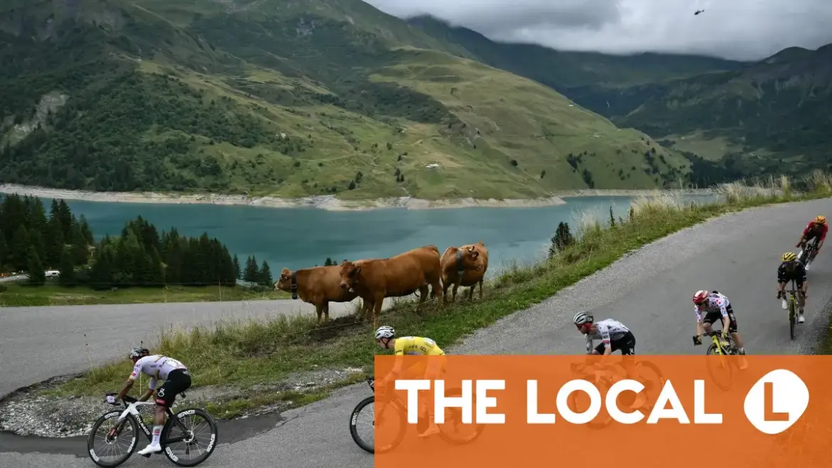 What’s going on with France’s Lumpy Skin Disease outbreak? What's going on with France's Lumpy Skin Disease outbreak?