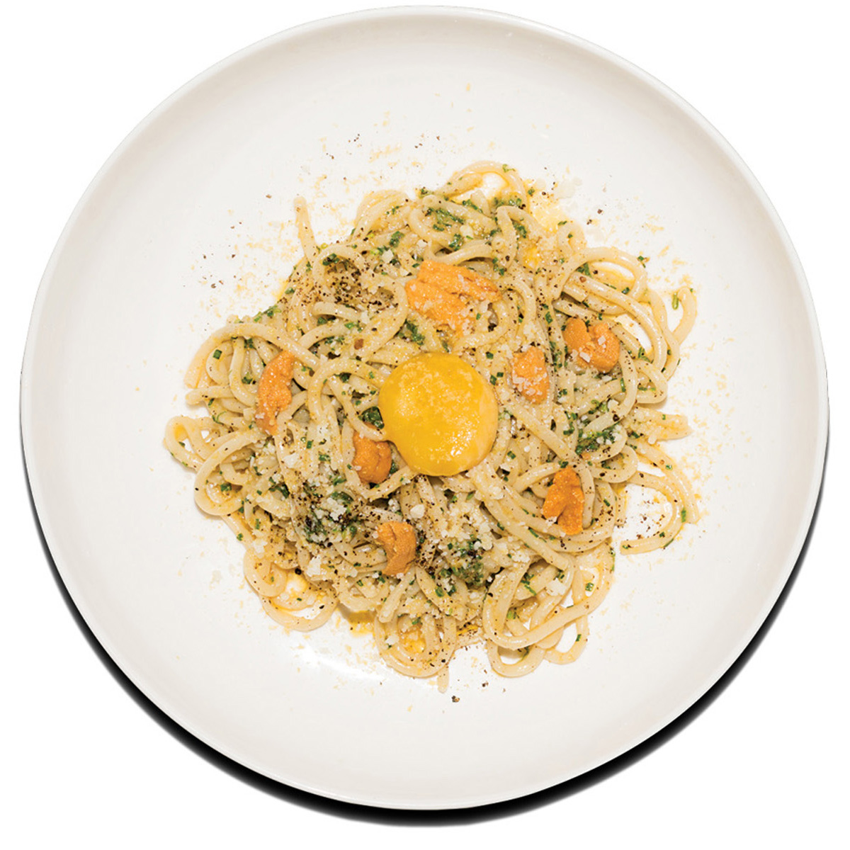 waypoint bucatini sea urchin