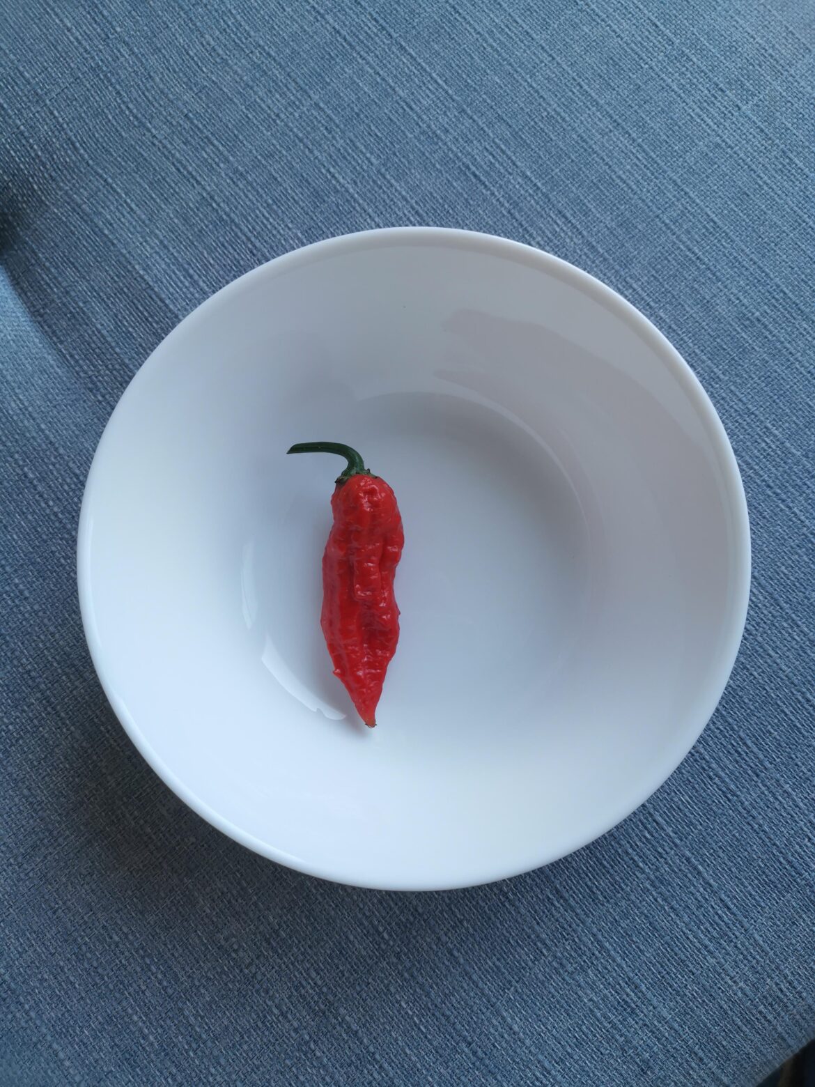 My first ever ghost pepper harvested