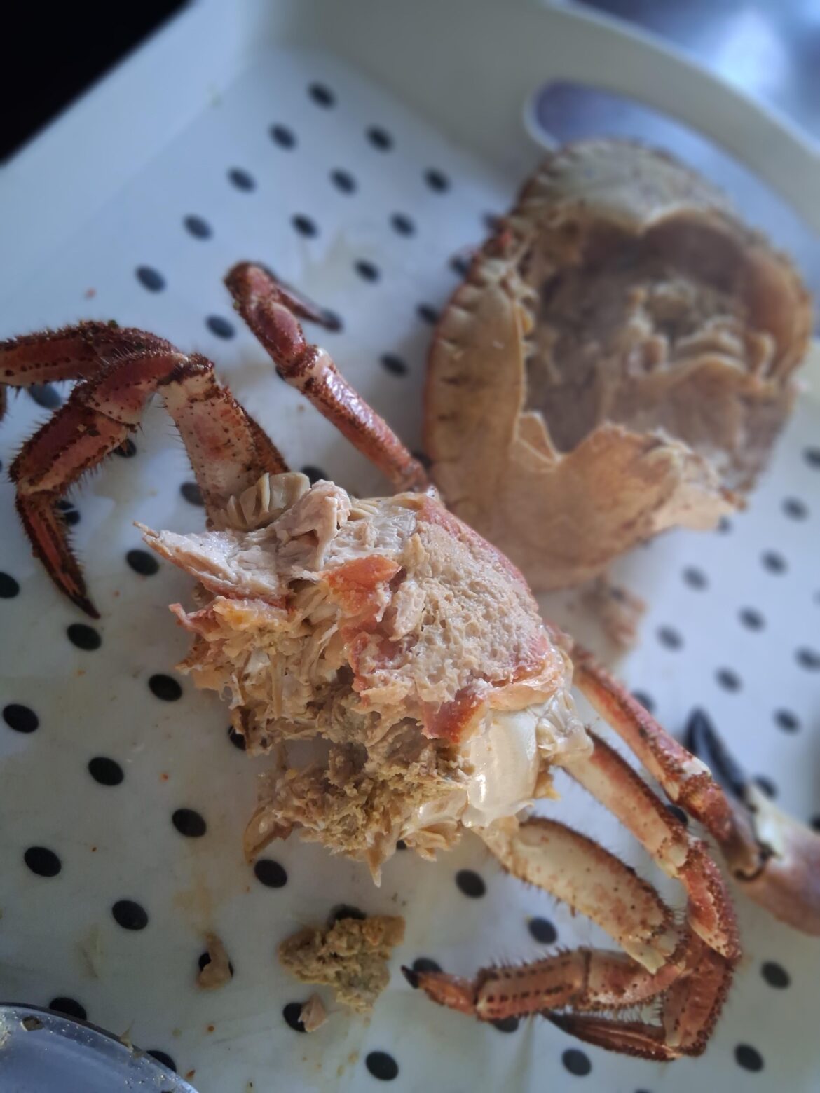 Meaty crab