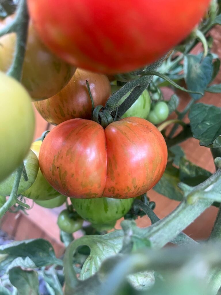 Banned from gardening group because of this pic