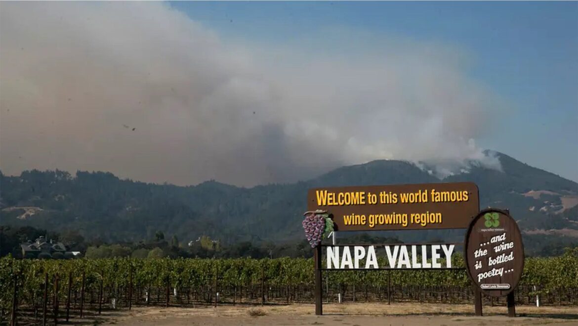 Wine Under Fire: Cali Vineyards On ‘Smoke Taint’ Jenn Jordan