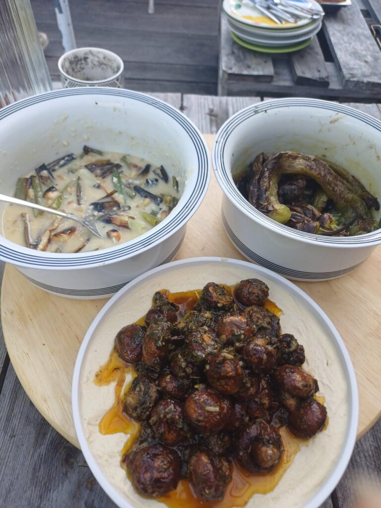 Grilled spring onions in pine nut vinaigrette, grilled peppers in confit garlic creme, grilled mushrooms on hummus, grilled figs with shaoxing dressing, focaccia