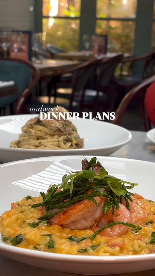 Midweek dinner plans: pasta and shrimp risotto.