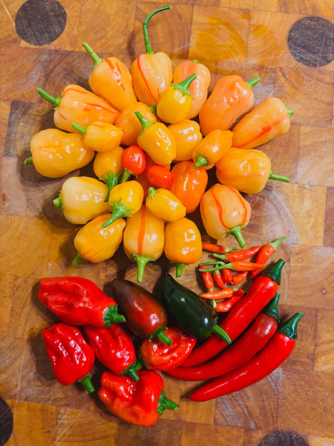 Hot August Night in the Scottish Borders.