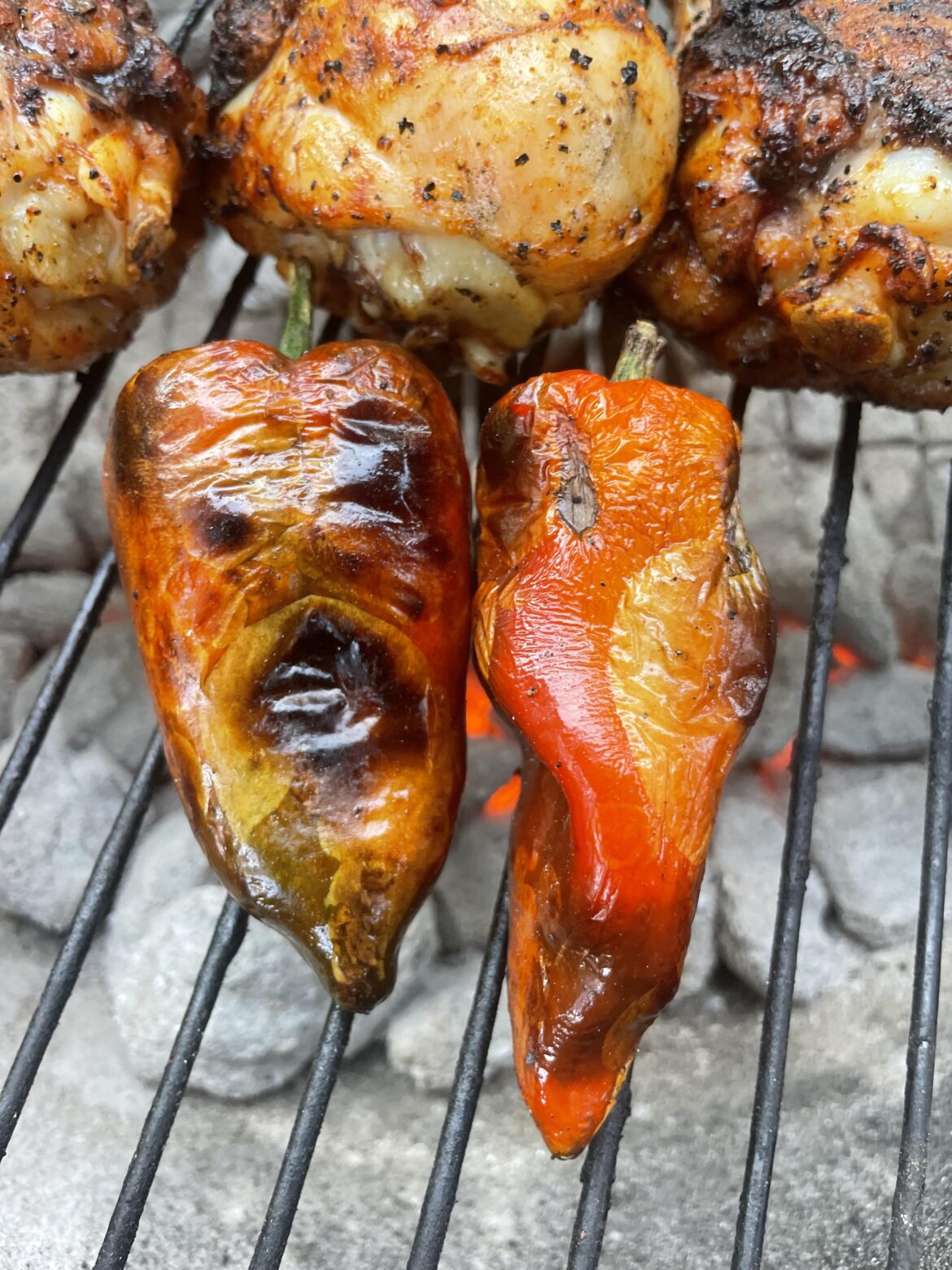 I know they’re just poblanos, but they sure look mean. All bark no bite.