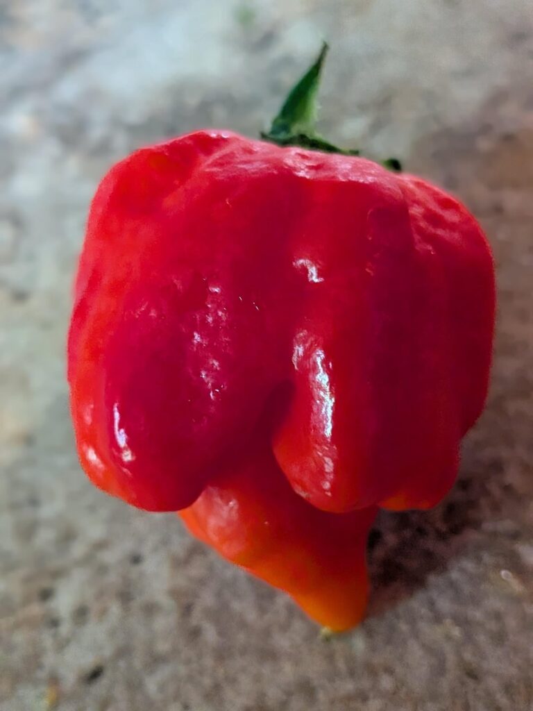 Sweet mother of God Sweet mother of God