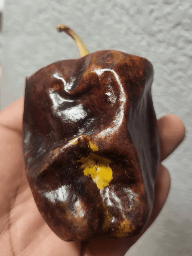 La belleza del chilhuacle.