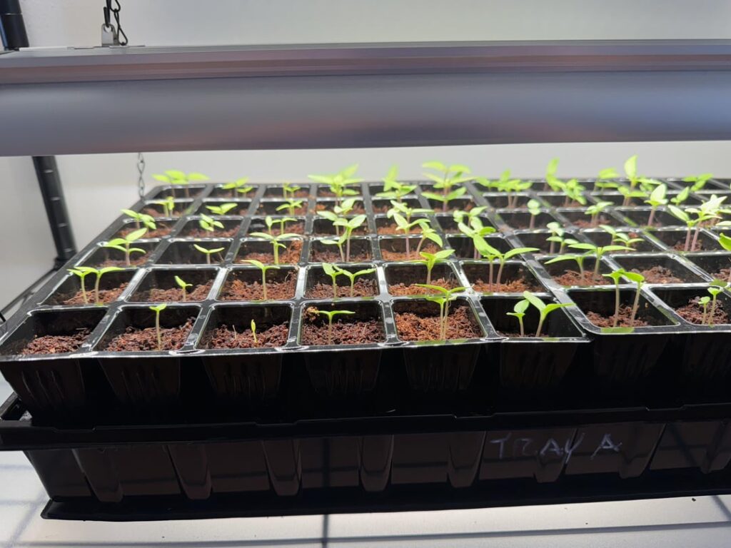 How It Started vs How It's Going