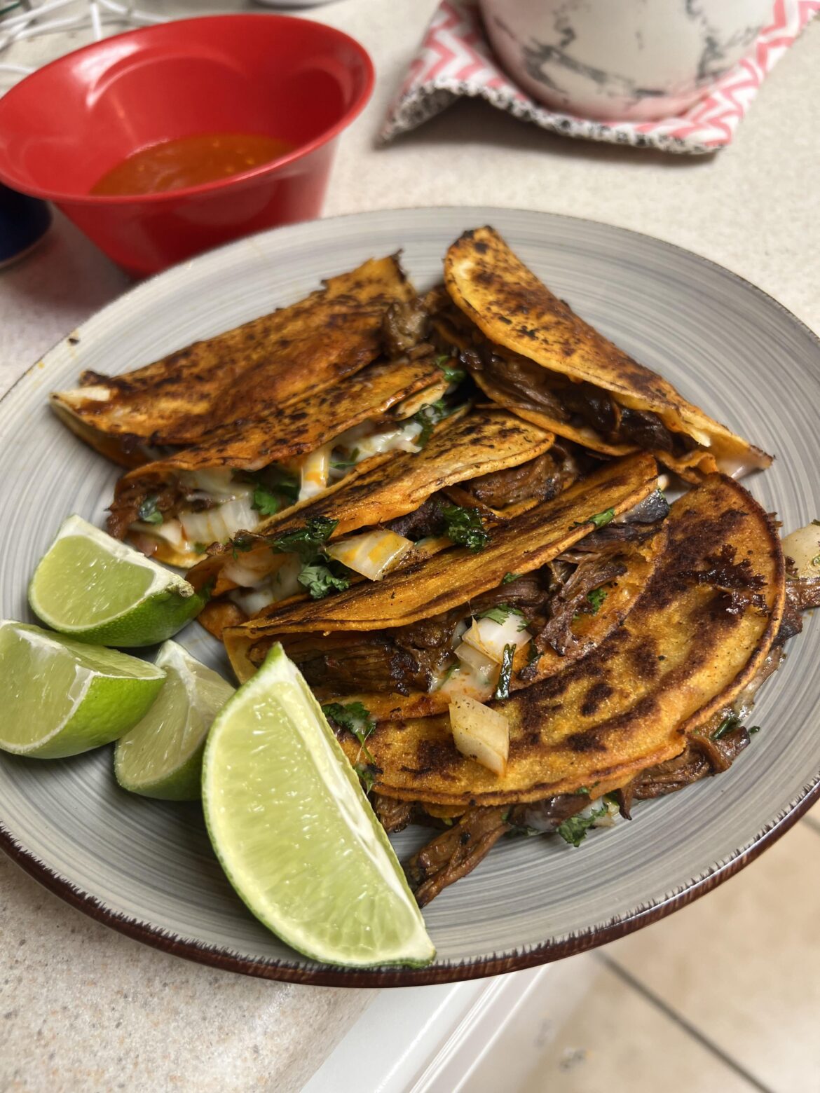 [homemade] Birria Tacos
