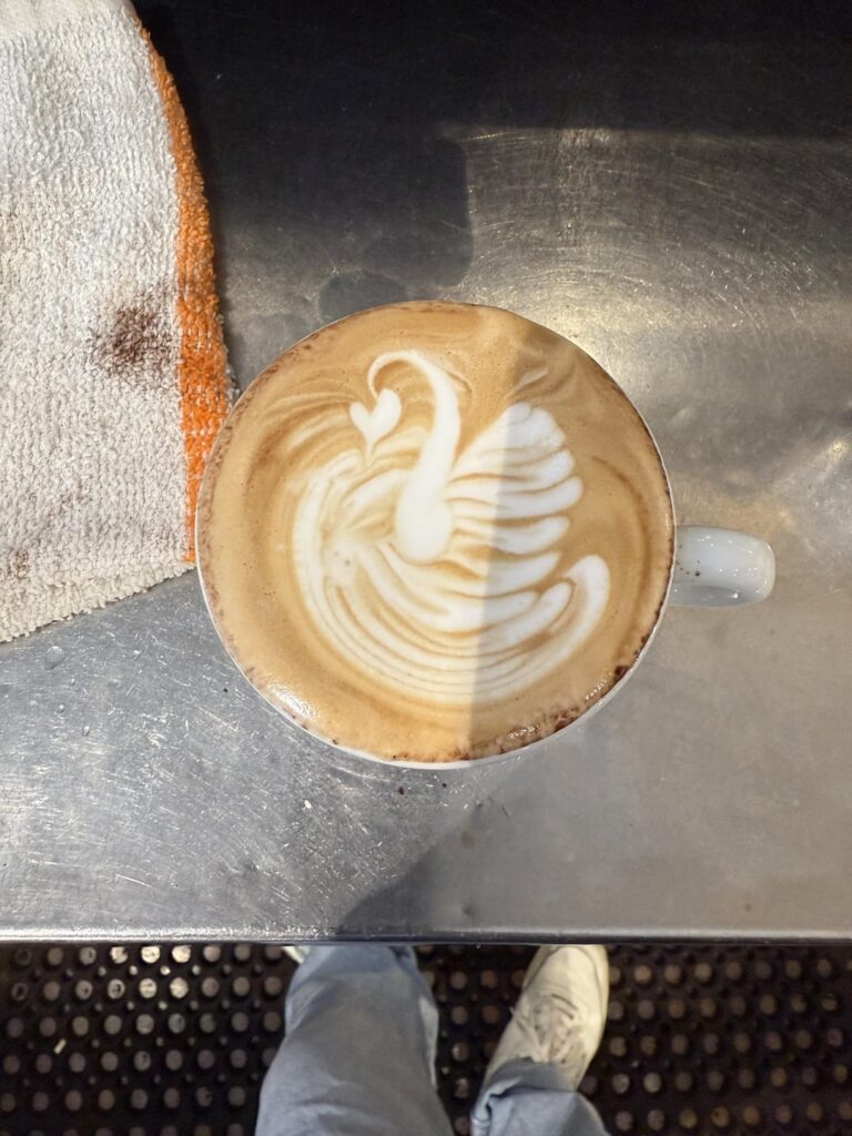 Been trying to improve my swans so here’s all the attempts that I’ve made today!
