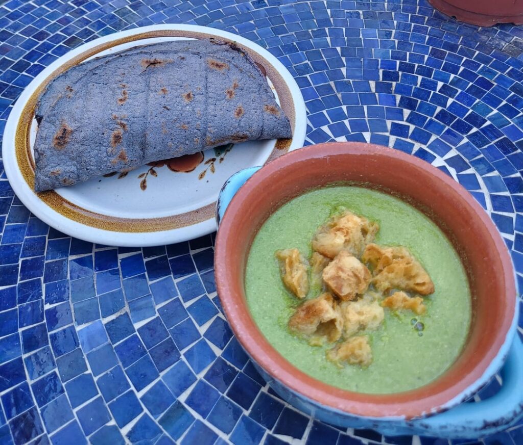 Sopa de quelites y calbazitas con unas quesadillas de hongos en chile pasilla.