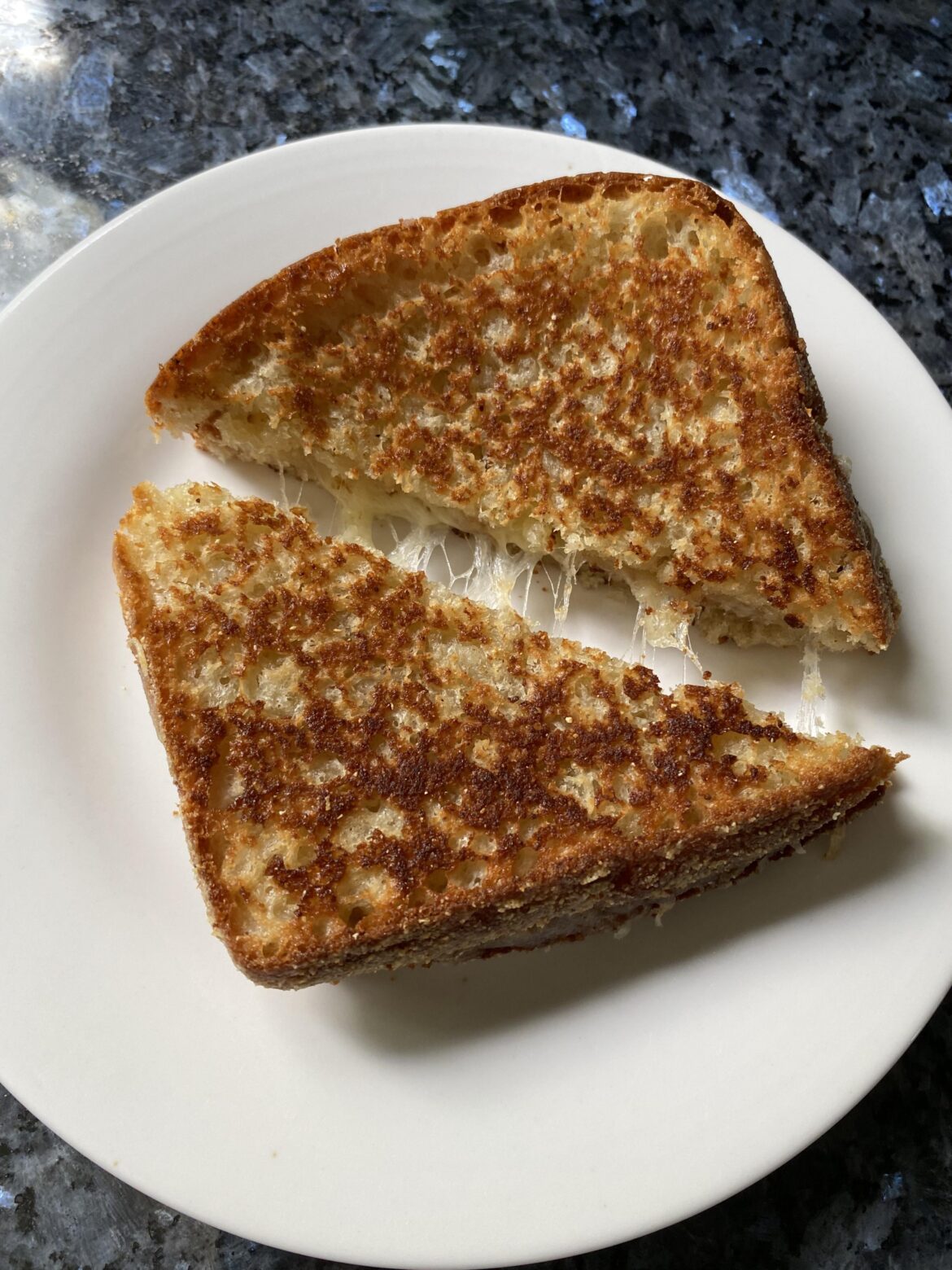 Pepperjack and swiss on homemade english muffin bread